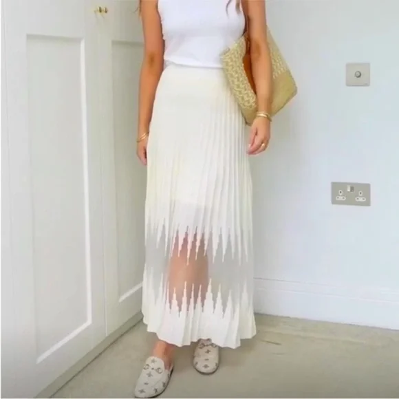 Pleated Skirt Zara Sheer Skirt Zara Sheer Skirt In Brown Size S